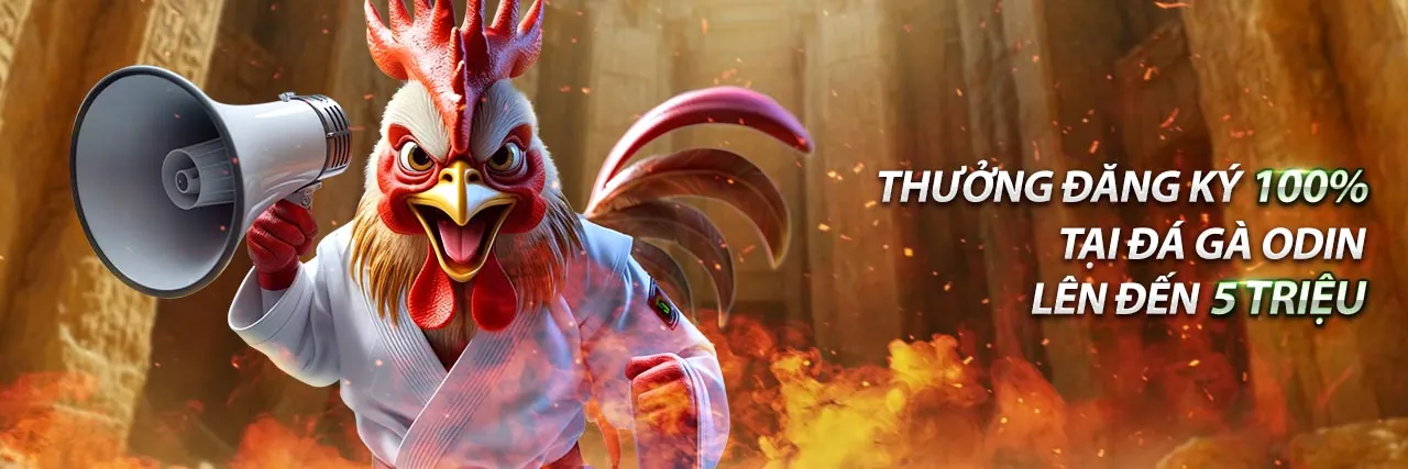 Hình ảnh đại diện cho Tuân thủ GDPR và bảo vệ dữ liệu của afp88 đăng nhập